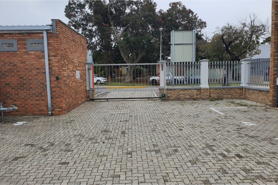 To Let commercial Property for Rent in Newton Park Eastern Cape